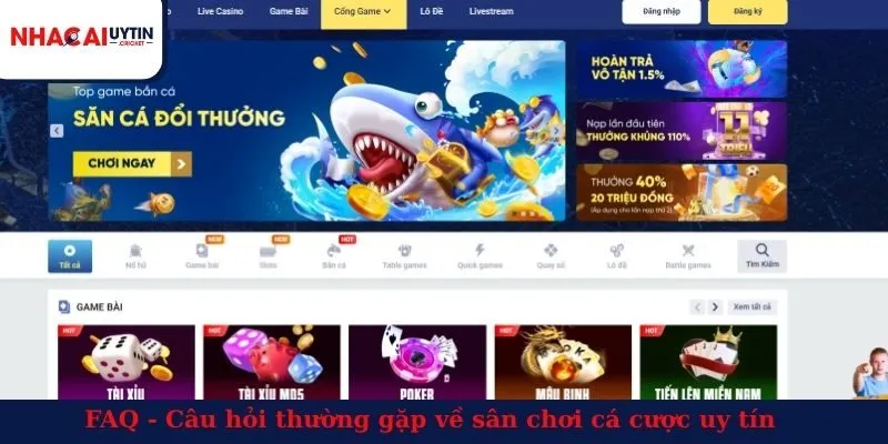 FAQ - Câu hỏi thường gặp về sân chơi cá cược uy tín