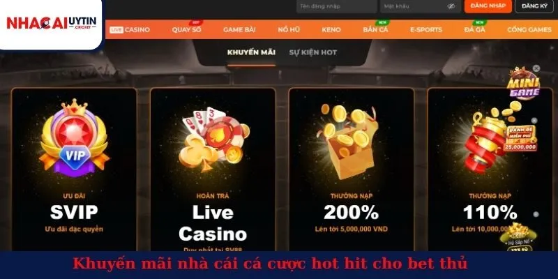 Khuyến mãi nhà cái cá cược hot hit cho bet thủ